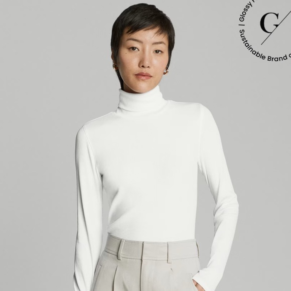 Evereve Tops - Worn only few times. Perfect turtleneck